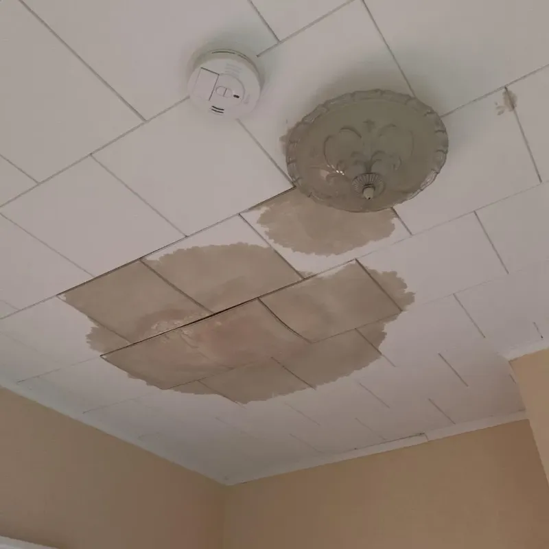 Ceiling Water Damage Repair in Hermitage, PA