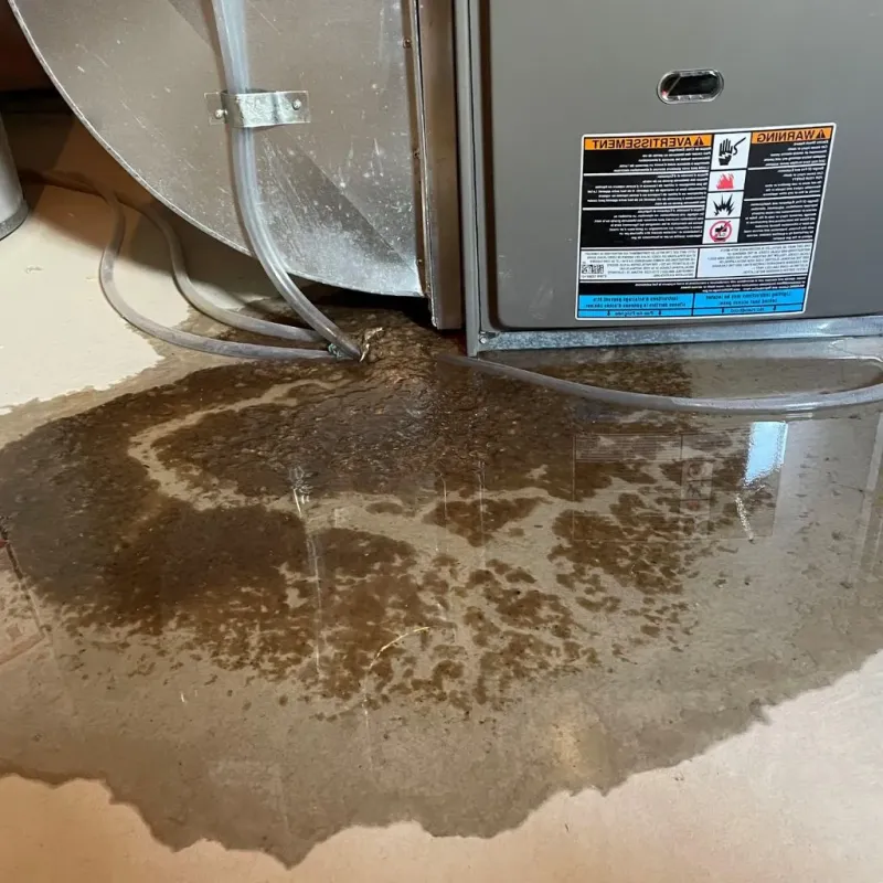 Pipe Burst and Leak Restoration in Hermitage, PA